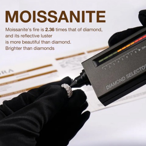 Hoop Moissanite Shine Earrings