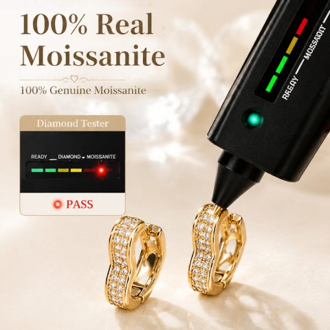 Heart-Shaped Double Row Earrings