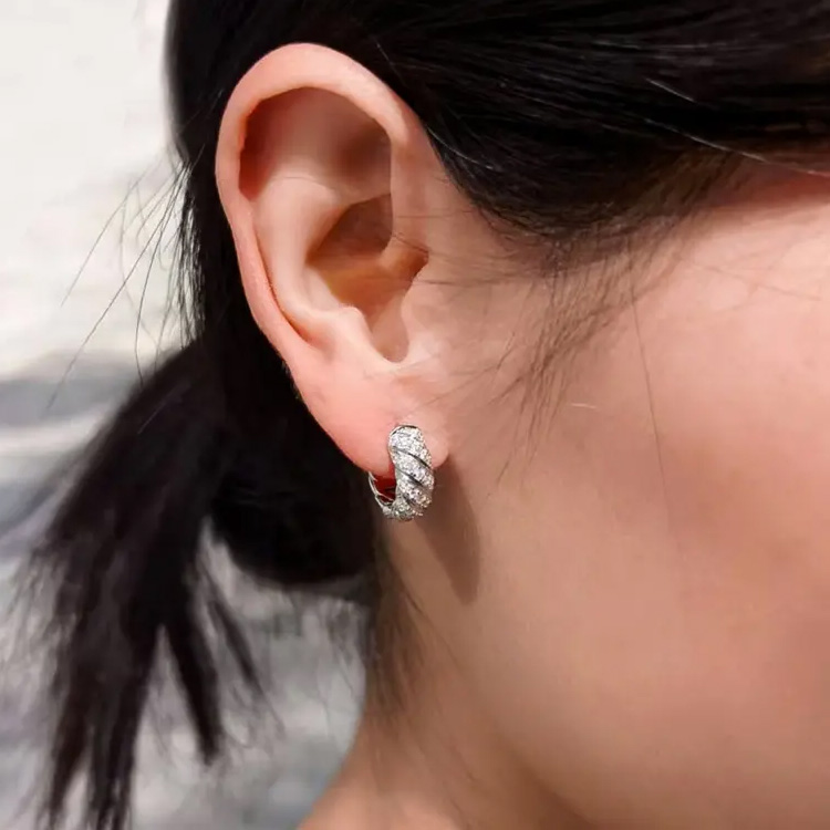 Easter promotion -Hoop Moissanite Shine Earrings - Comes with a custom jewelry box